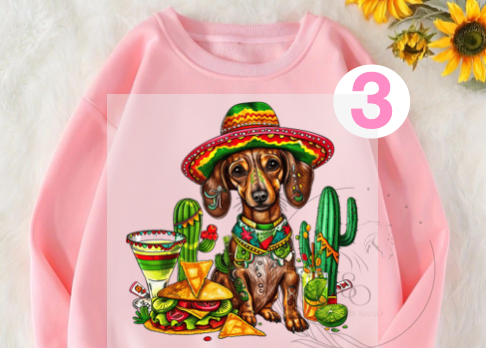 D234 | DTF TRANSFER | 5 DE MAYO