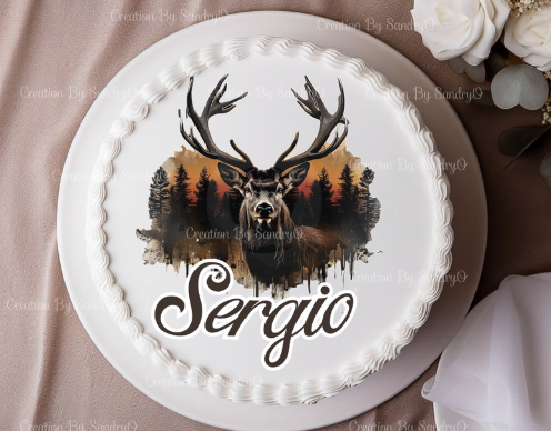 S14 | Edible Cake Decoration | Party |