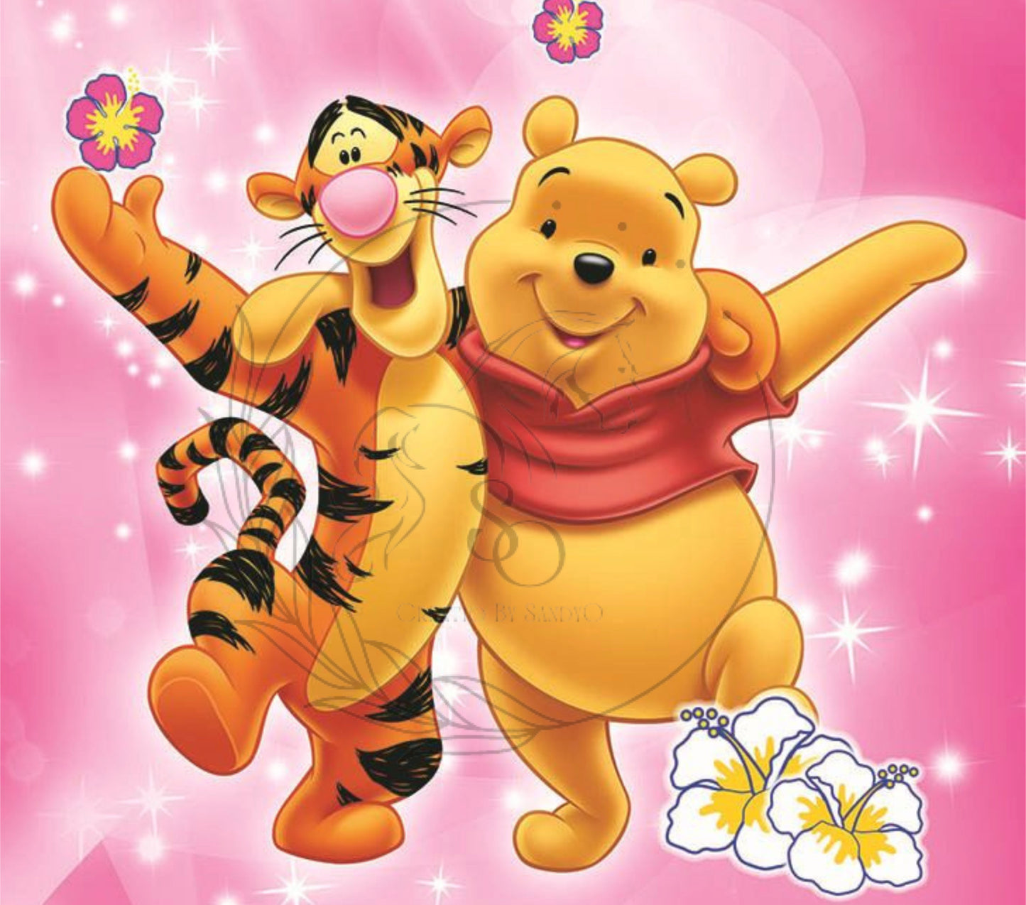 T265 Winnie the Pooh Sublimation Transfer