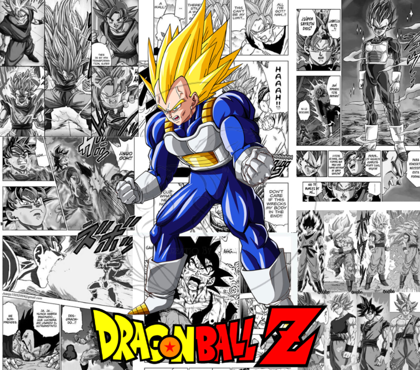 T365 Transfer De Sublimacion DBZ