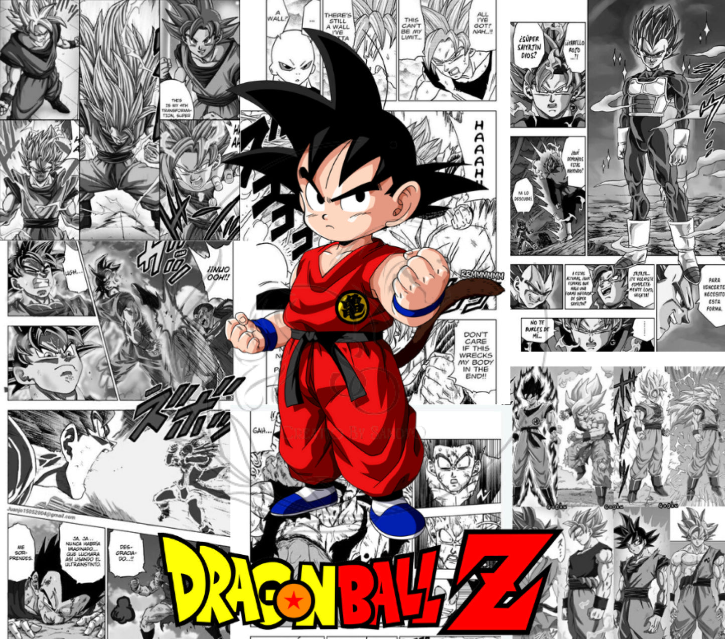 T362 Transfer De Sublimacion DBZ