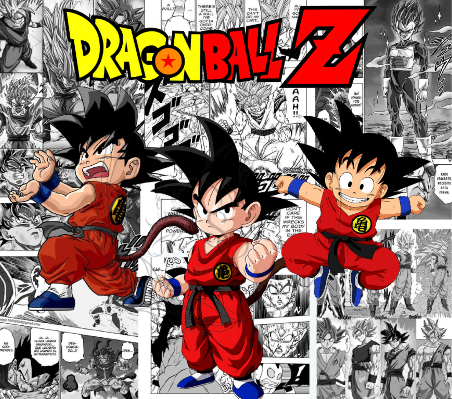 T363 Transfer De Sublimacion DBZ