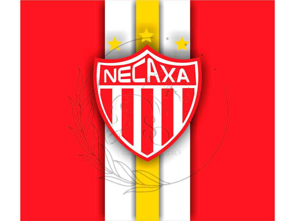 T251 Transfer De Sublimacion Necaxa