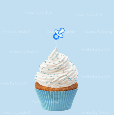 S13 Cupcake Topper BABY BOY